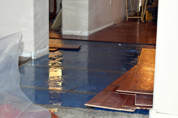 Professional Basement Water Removal technician working in Irons, MI
